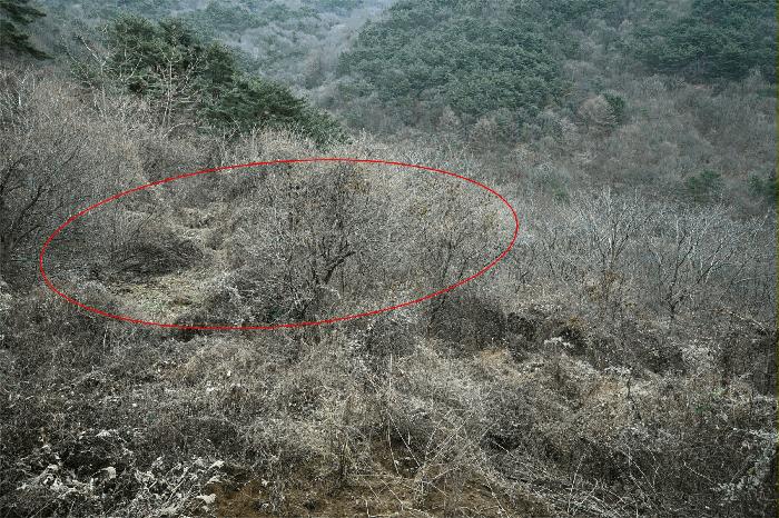 전라남도 구례군 토지면 내동리 143 답 경매 사진 10