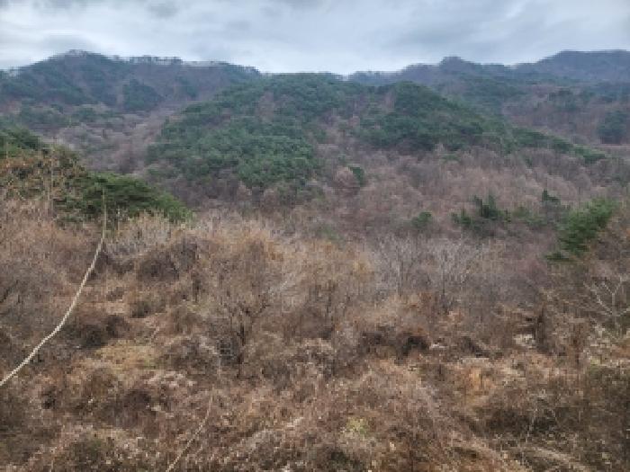 전라남도 구례군 토지면 내동리 143 답 경매 사진 16