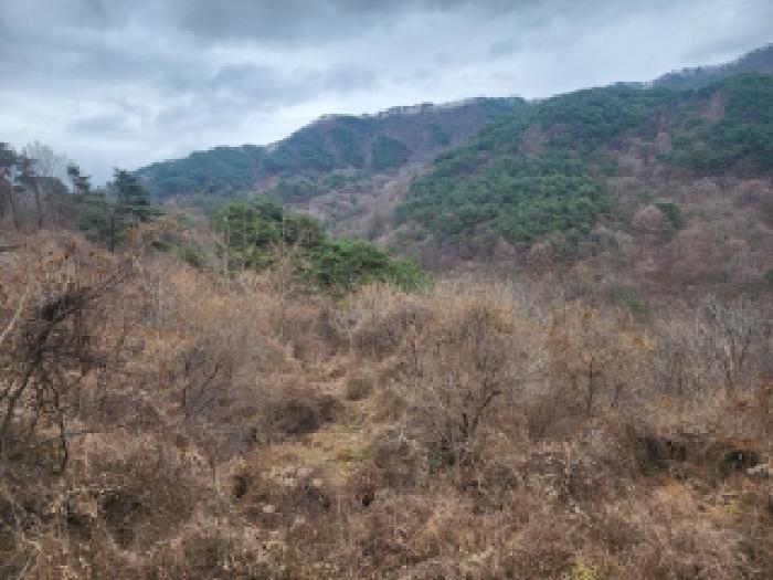 전라남도 구례군 토지면 내동리 산110-9 임야 경매 사진 17