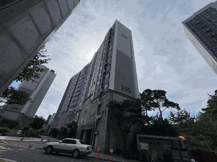 전라남도 무안군 삼향읍 남악리 2609 골드디움 205동 8층801호 아파트 경매 사진 4