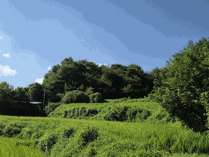 전북특별자치도 순창군 구림면 성곡리 390 전 경매 사진 3
