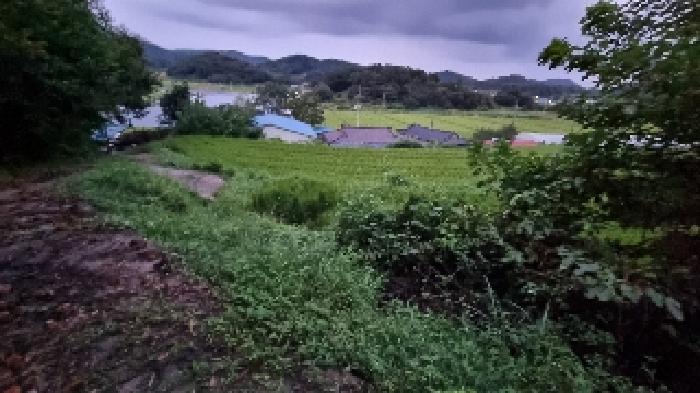 전북특별자치도 순창군 구림면 성곡리 390 전 경매 사진 9