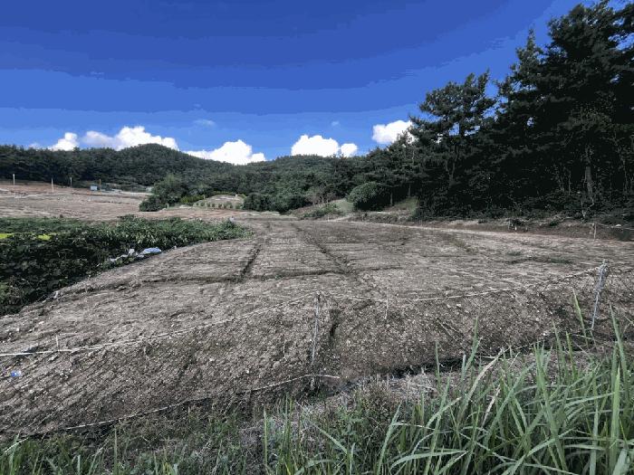 전라남도 무안군 청계면 구로리 302 답 경매 사진 3