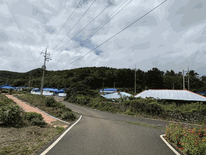 전라남도 신안군 임야