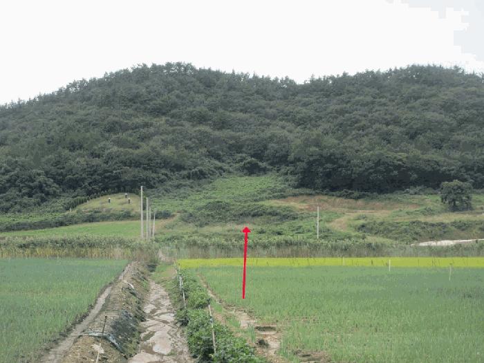 전라남도 신안군 전