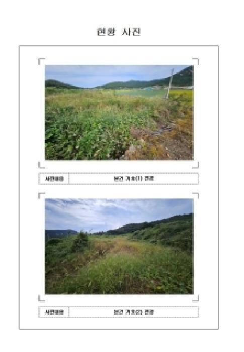 전라남도 신안군 임자면 삼두리 700-1 전 경매 사진 6