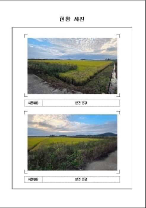전라남도 무안군 일로읍 청호리 728 답 경매 사진 5