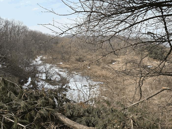 경기 용인시 처인구 임야