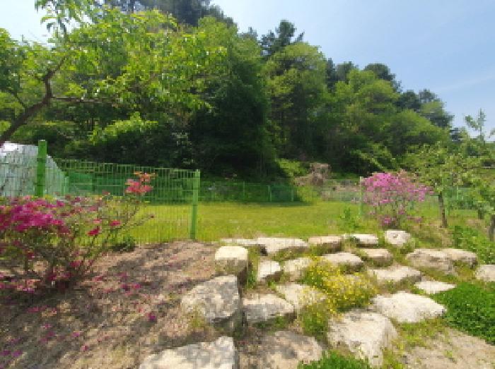 경기도 가평군 가평읍 산유리 360-1 주택 경매 사진 24