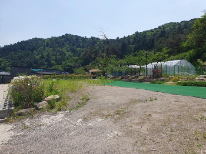 경기도 가평군 가평읍 산유리 356-1 전 경매 사진 29