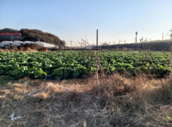 경기도 평택시 청북읍 한산리 489 답 경매 사진 5