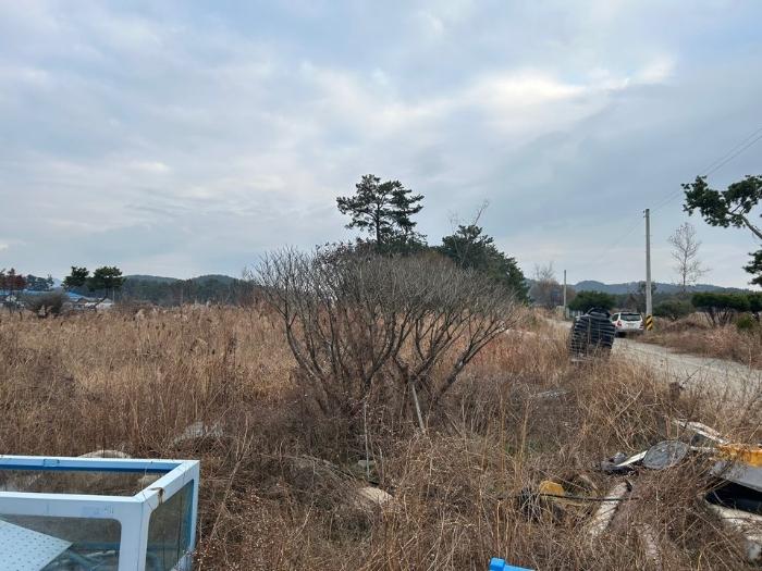 충청남도 서천군 서면 신합리 530-327 임야 경매 사진 16