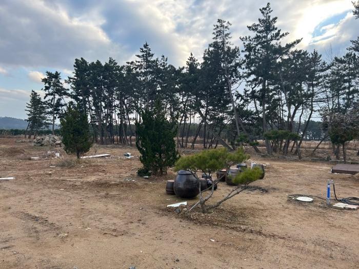 충청남도 서천군 서면 신합리 530-327 임야 경매 사진 17