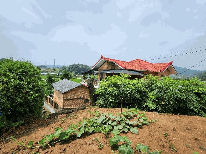 충청남도 예산군 봉산면 화전리 164 주택 경매 사진 5