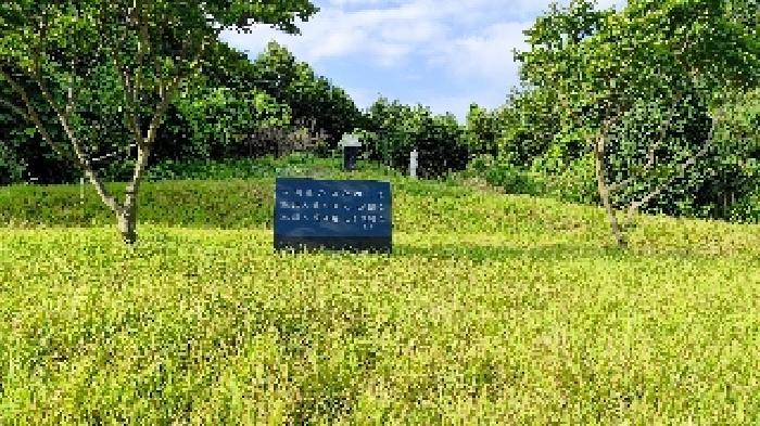 충청남도 서천군 비인면 관리 510-5 임야 경매 사진 33