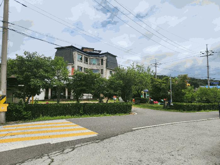 충청남도 서천군 비인면 관리 510-5 임야 경매 사진 9