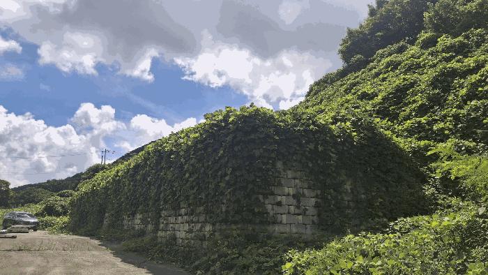 충청남도 예산군 덕산면 대치리 85-6 임야 경매 사진 10