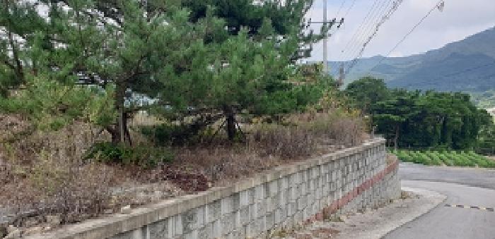 충청남도 예산군 덕산면 대치리 85-6 임야 경매 사진 14