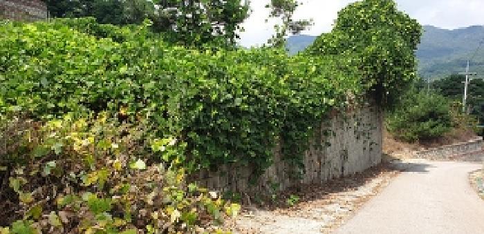 충청남도 예산군 덕산면 대치리 85-6 임야 경매 사진 16