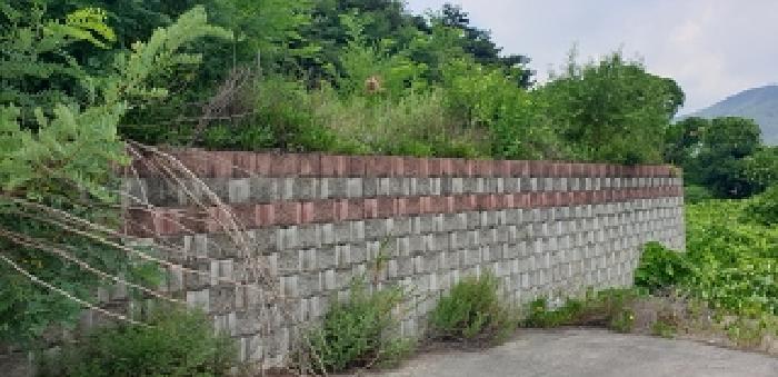 충청남도 예산군 덕산면 대치리 85-6 임야 경매 사진 19