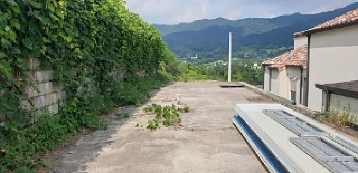 충청남도 예산군 덕산면 대치리 85-6 임야 경매 사진 22