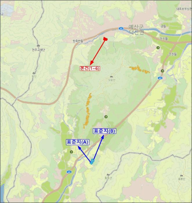 충청남도 예산군 덕산면 대치리 85-6 임야 경매 사진 23