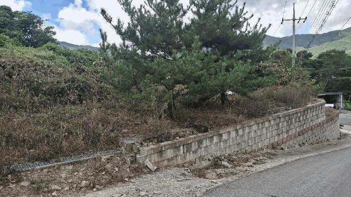 충청남도 예산군 덕산면 대치리 85-6 임야 경매 사진 5