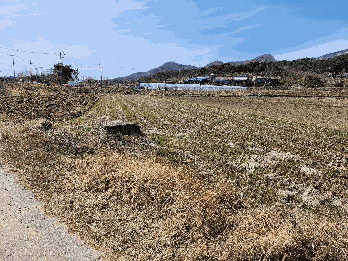 충청남도 예산군 덕산면 복당리 161-1 답 경매 사진 1