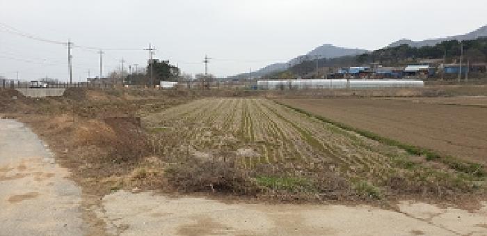 충청남도 예산군 덕산면 복당리 161-1 답 경매 사진 6