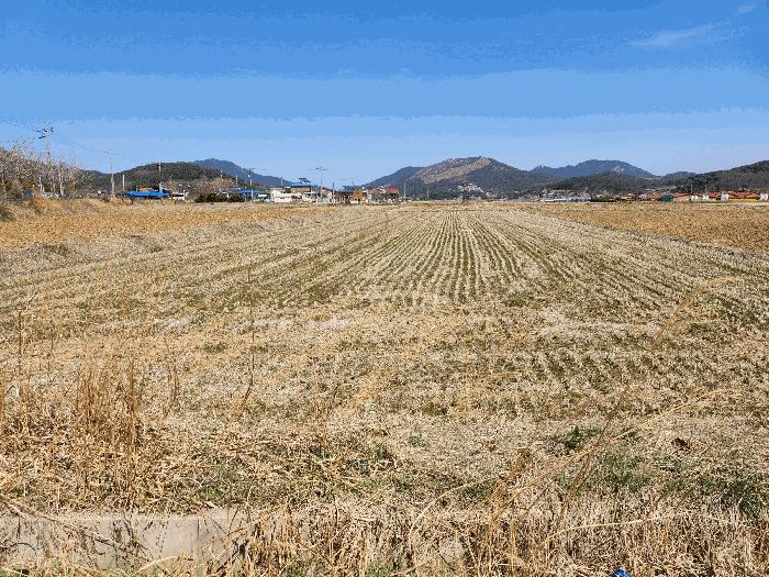 충청남도 예산군 덕산면 복당리 58-2 답 경매 사진 3