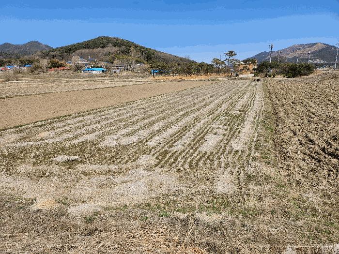 충청남도 예산군 덕산면 복당리 58-2 답 경매 사진 4