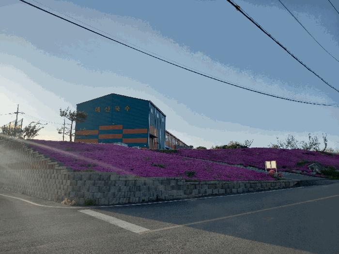 충청남도 예산군 봉산면 효교리 163-20 공장 경매 사진 1