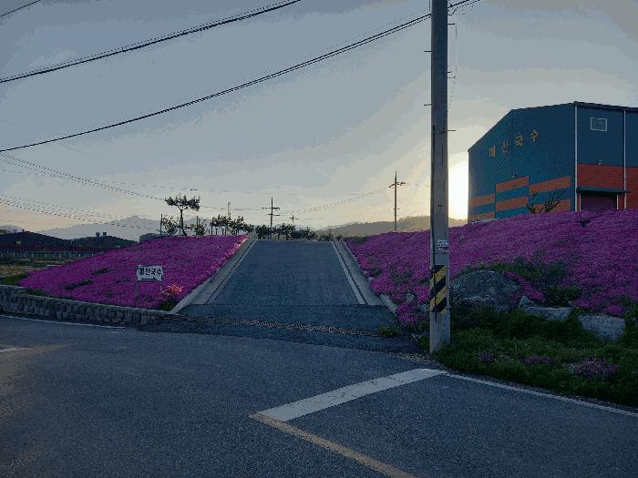 충청남도 예산군 봉산면 효교리 163-20 공장 경매 사진 19