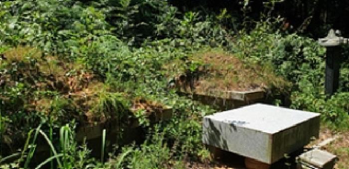 충청남도 예산군 봉산면 고도리 산65 임야 경매 사진 9