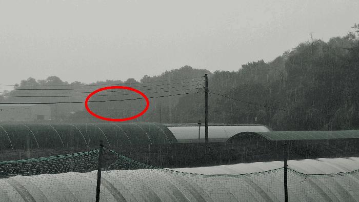 충청남도 예산군 봉산면 고도리 산65 임야 경매 사진 5