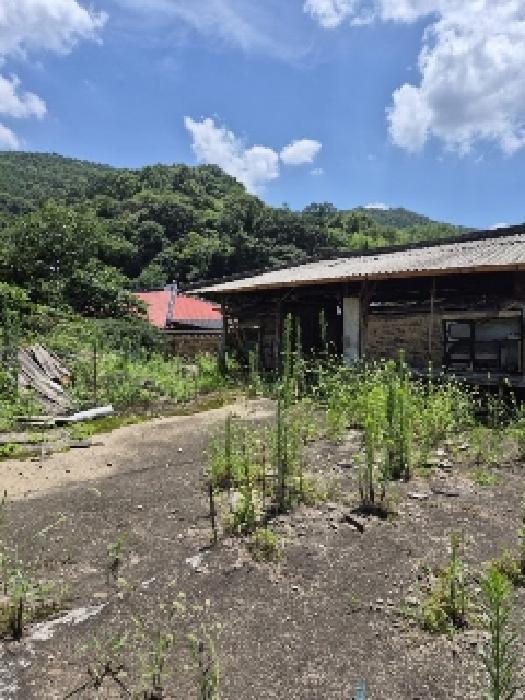 전라남도 화순군 동면 오동리 596 주택 경매 사진 13