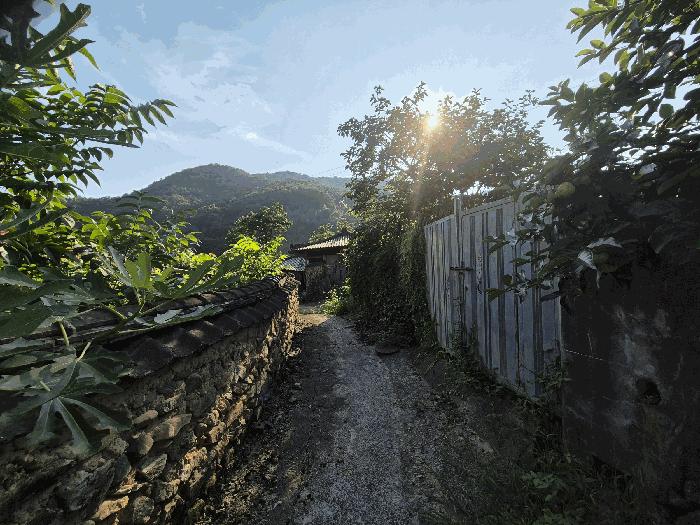 전라남도 화순군 동면 오동리 596 주택 경매 사진 2