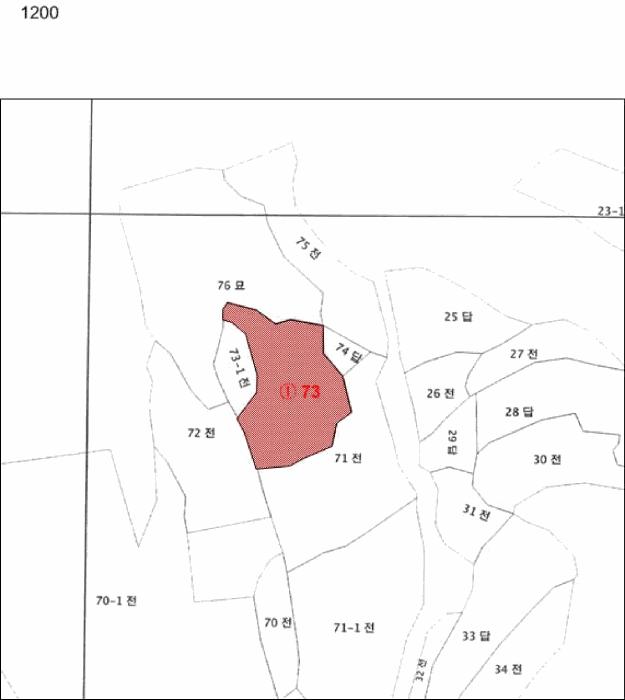전라남도 화순군 동면 복암리 73 전 경매 사진 11