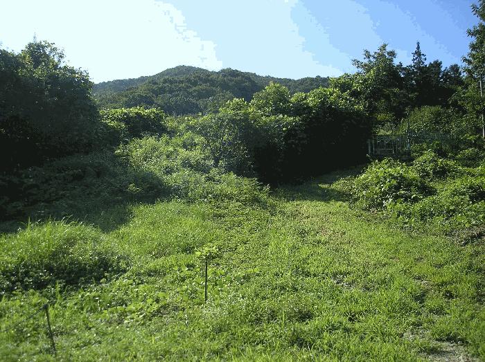 전라남도 화순군 동면 복암리 73 전 경매 사진 2