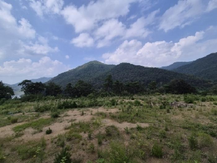 전라남도 곡성군 오곡면 침곡리 산121-11 임야 경매 사진 5