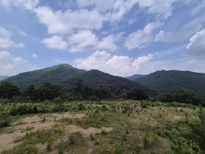 전라남도 곡성군 오곡면 침곡리 산121-11 임야 경매 사진 6