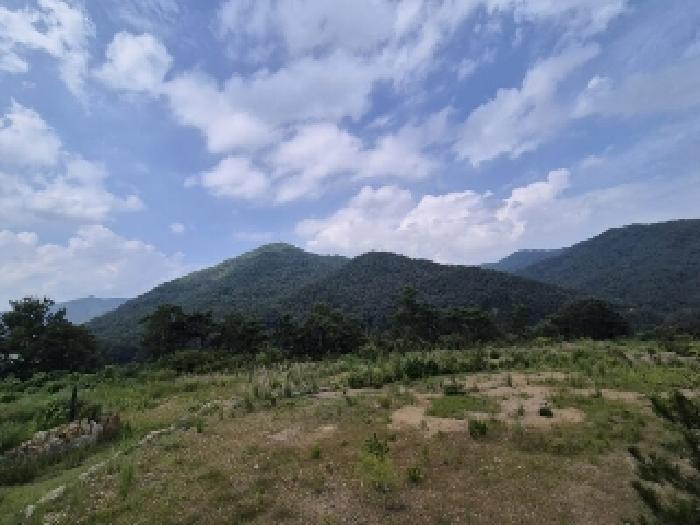 전라남도 곡성군 오곡면 침곡리 산121-11 임야 경매 사진 7
