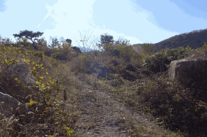 경상북도 경주시 건천읍 대곡리 139 전 경매 사진 12