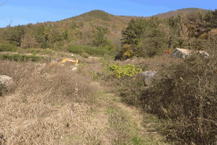 경상북도 경주시 건천읍 대곡리 139 전 경매 사진 3