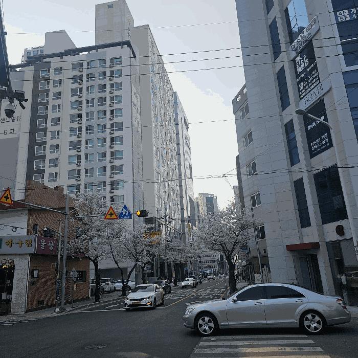 부산광역시 연제구 연산동 1310-40 세영엘리츠더시티 19층1908호 오피스텔 경매 사진 2