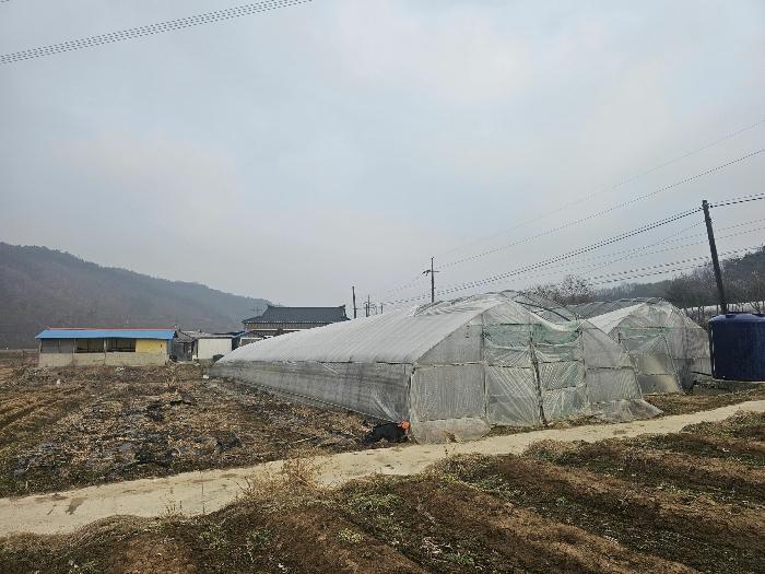 충청남도 청양군 대치면 수석리 425 전 경매 사진 1