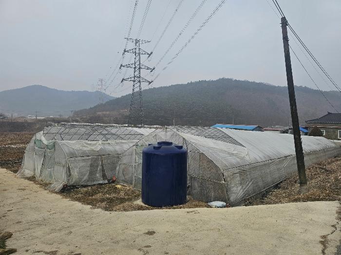 충청남도 청양군 대치면 수석리 425 전 경매 사진 4
