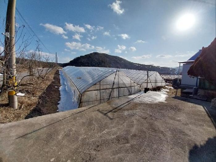 충청남도 청양군 대치면 수석리 425 전 경매 사진 6