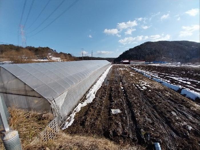 충청남도 청양군 대치면 수석리 425 전 경매 사진 7