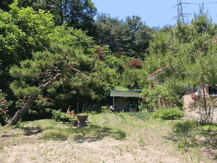 충청남도 청양군 운곡면 위라리 134 주택 경매 사진 2